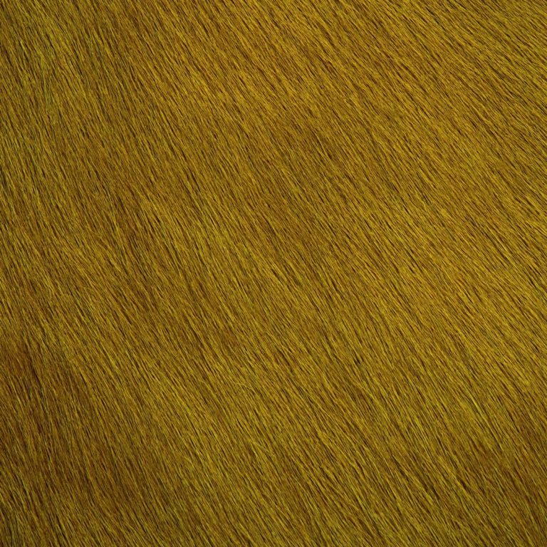 Hair-on-HIde Pear