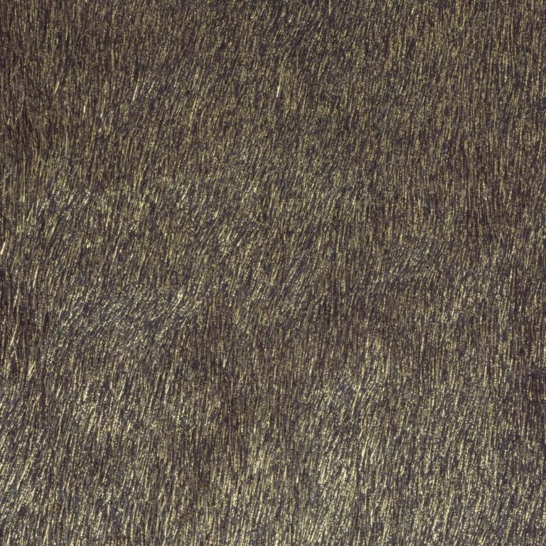 Hair-on-HIde Gold on Brown