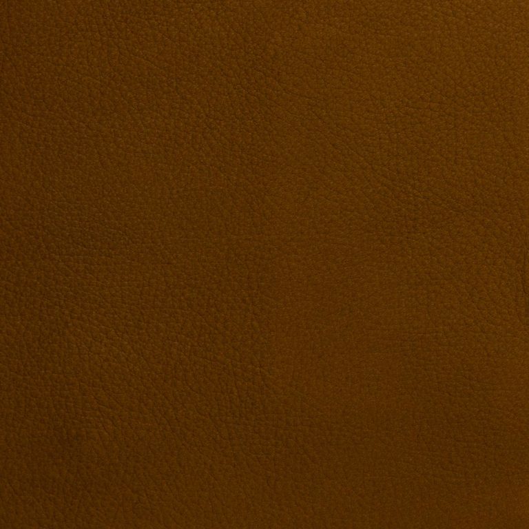 Bernini Leather by Jamie Stern