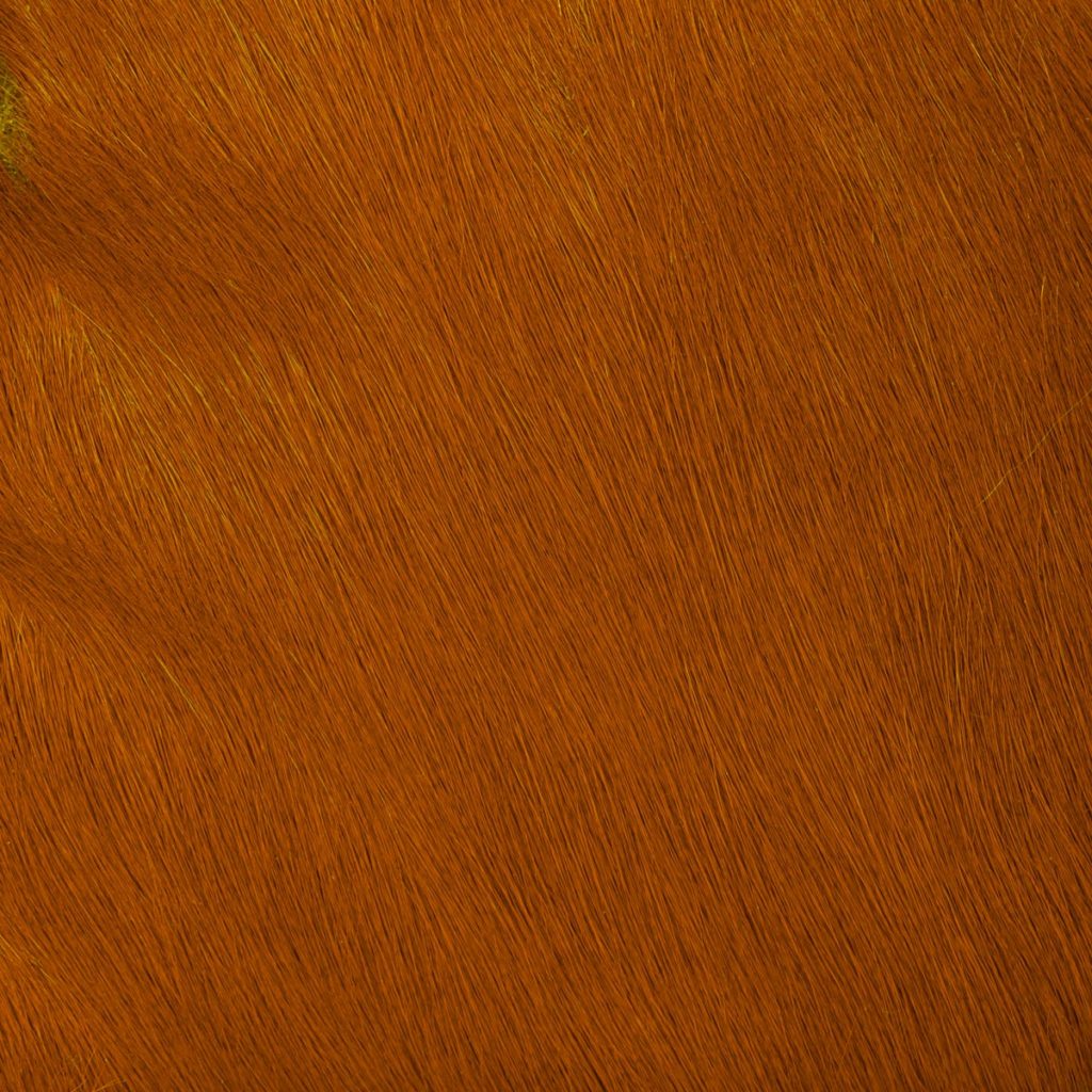 HOH-13 Rust