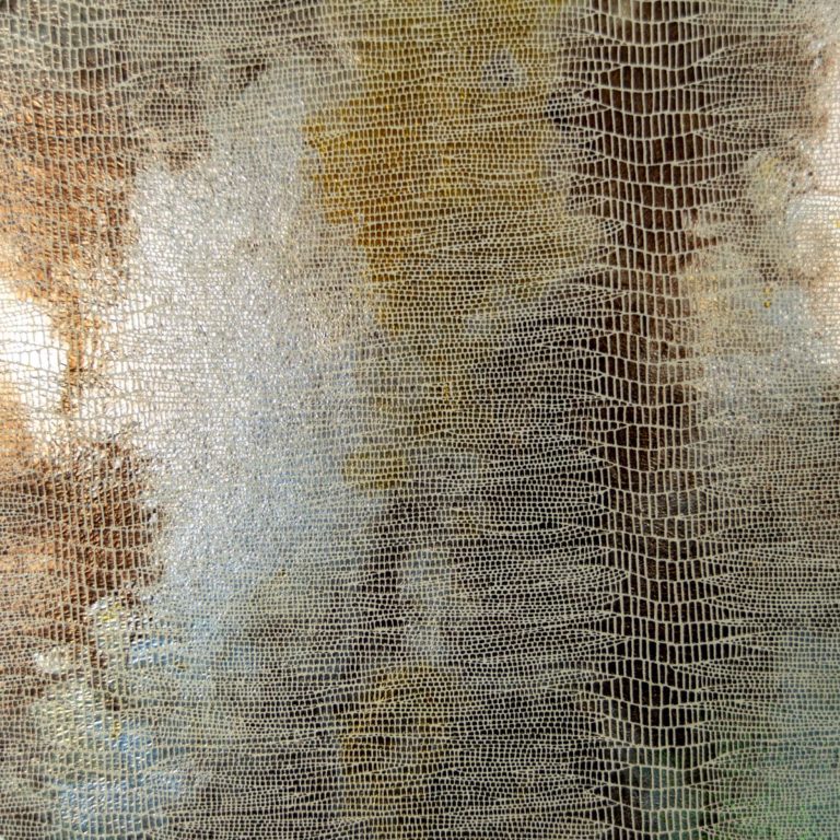 Jamie Stern metallic suede Leather Kimodo Dragon