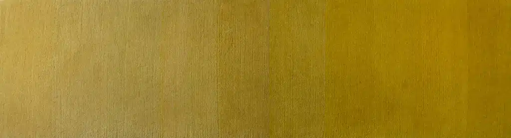 Full Sample Goldenrod
