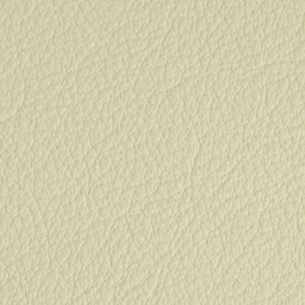Windy Wheat