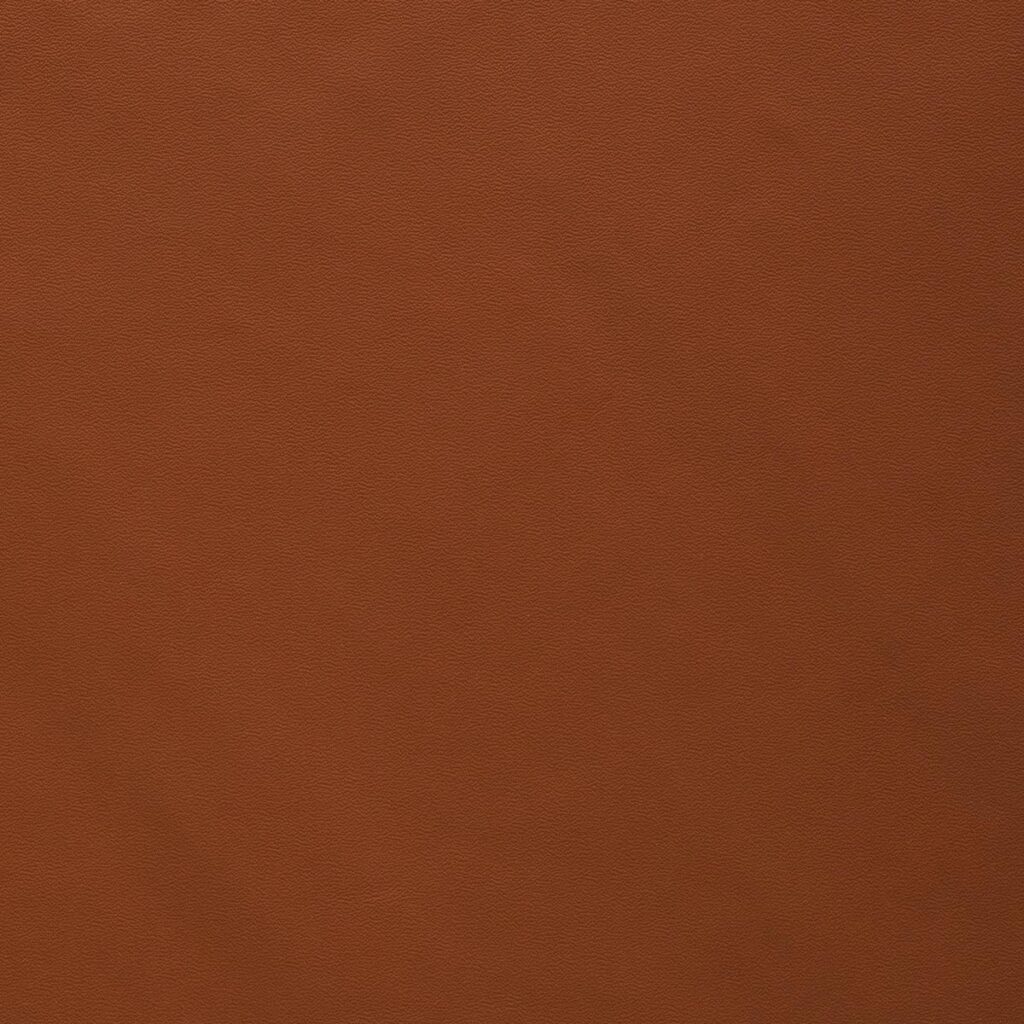 Saddle